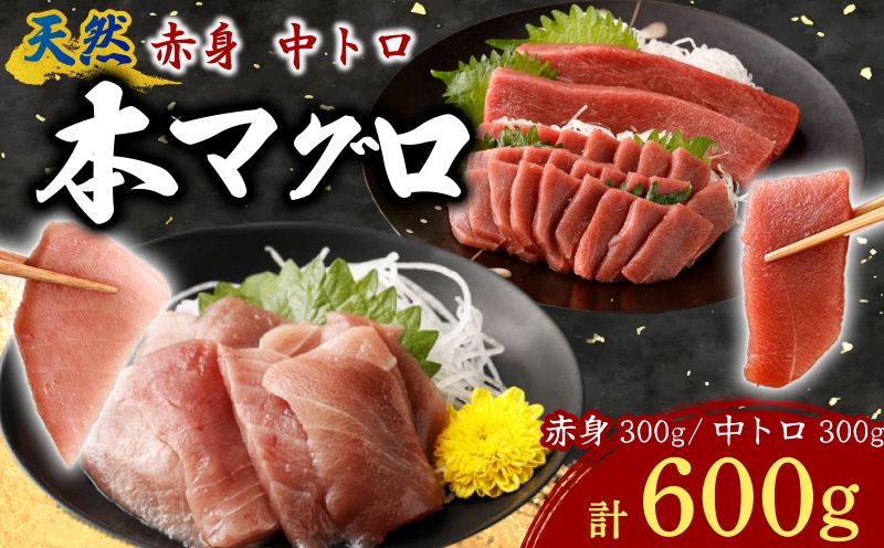 天然本まぐろ 赤身 中トロ 切落し お手軽 ちょこっとパック 合計600g 食べきりサイズ 切り落とし お刺身 魚介類 海鮮 小分け 魚 海産物 魚貝 マグロ 父の日 高知県 簡単解凍 簡単調理 惣菜 冷凍