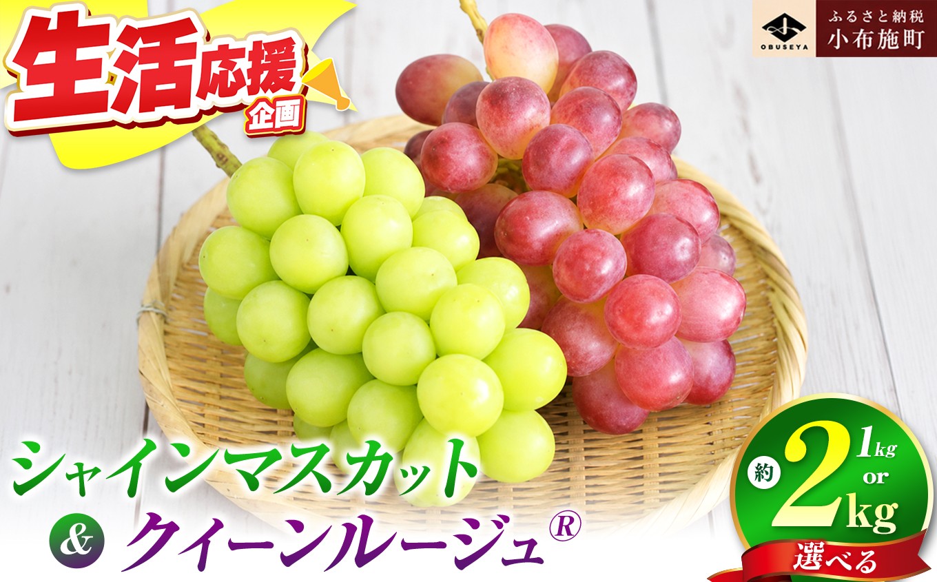 
                  シャインマスカット＆クイーンルージュ_ 約1kg 約2kg 選べる内容量  ［小布施屋］ 果物 フルーツ ぶどう 葡萄 令和8年産【2026年9月下旬～11月上旬発送】
                