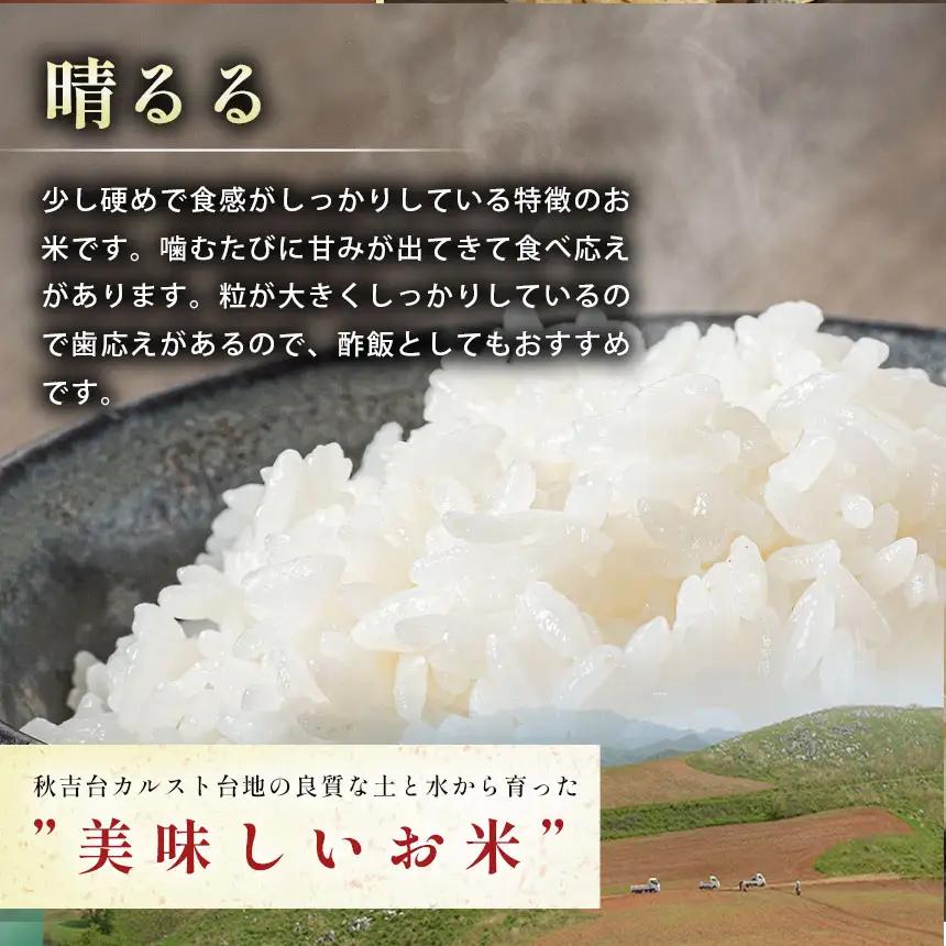 令和8年度産 新米 晴るる 白米 20kg 村上農園 先行予約 ＜ 2026年9月下旬より11月末まで順次発送 ＞