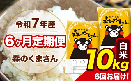 米 令和7年産 森のくまさん 白米 10kg 5kg×2袋 計6回お届け 《お申込み翌月から出荷》 お米 こめ 熊本県産 ご飯 備蓄
