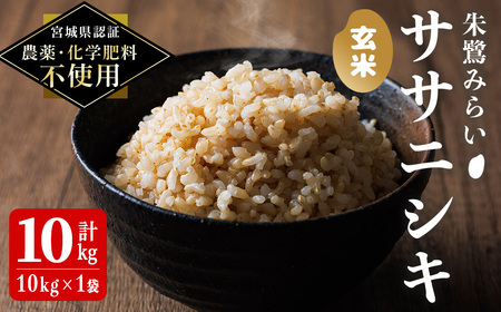 ＜宮城県認証 農薬・化学肥料不使用＞ササニシキ 玄米 10kg (10kg×1袋) 朱鷺みらい 玄米 登米市産 お米 おこめ 米 コメ 白米 ご飯 ごはん おにぎり お弁当 ささにしき 【オーガニック