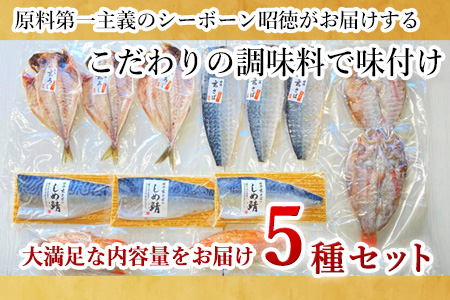 玄あじ玄さば釣り赤むつとしめ鯖のご馳走セット 5種11枚2尾 セット 干物 しめ鯖 まるごと おかず ギフト 昭徳