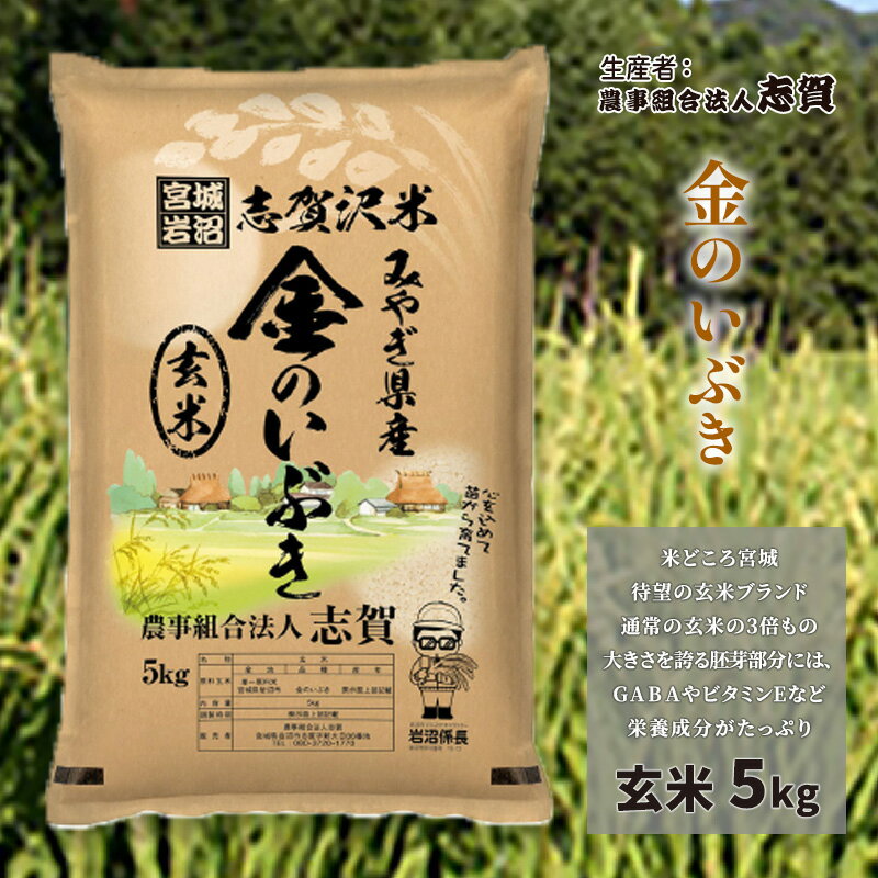 【ふるさと納税】玄米 金のいぶき 5kg 志賀沢米 岩沼産 お米 ブランド米 単一原料米 5キロ こめ コメ おこめ ご飯 ライス 玄米ごはん 玄米ご飯 きんのいぶき 金のいぶき玄米 東北 宮城県産 宮城米 宮城 宮城県 岩沼市　お届け：2025年10月上旬～2025年10月下旬