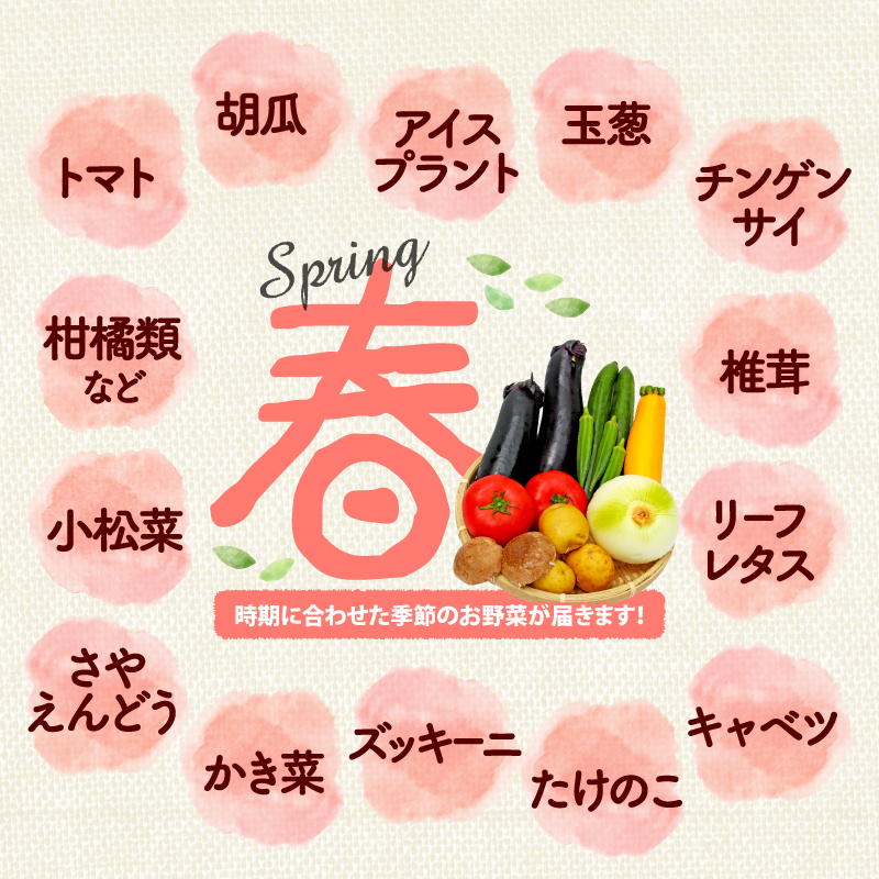 【全3回定期便】 野菜 詰め合わせ おまかせ 野菜詰合せ （6～8種） 詰合せ 6～8種 おまかせ 旬 まんさいかん ボックス 静岡県 藤枝市 ( 人気野菜 ふるさと納税野菜 ふるさと野菜 furusato野菜 おすすめ野菜 送料無料野菜 静岡県 藤枝市 )