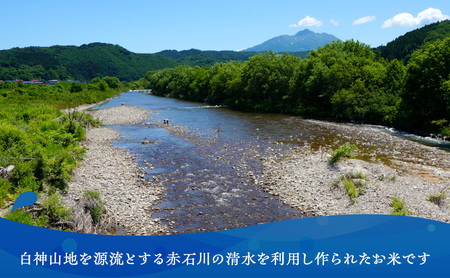 まっしぐら 玄米 令和8年産 山下農園 青森県産 まっしぐら【10kg 5kg×2袋】