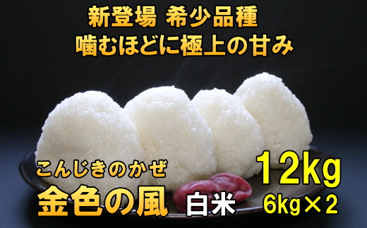 【令和6年産】【白米12kg】新登場の高級米 岩手県奥州市産 金色の風  白米12kg（6kg×2） [AC031]