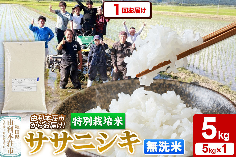 令和7年産【無洗米】特別栽培米 ササニシキ 5kg 秋田県産 [ササニシキ 米 お米 白米 精米 無洗米 特別栽培米 ブランド米 食卓 秋田県産 秋田県 由利本荘市]
