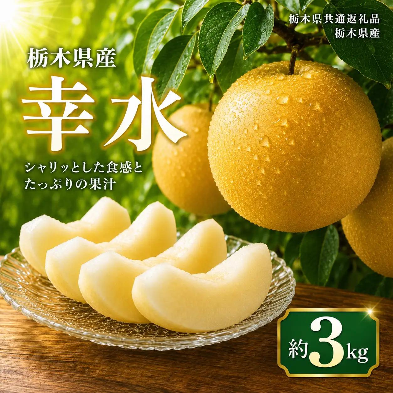 【2027年先行予約】梨 幸水 約3kg｜栃木県共通返礼品 栃木県産