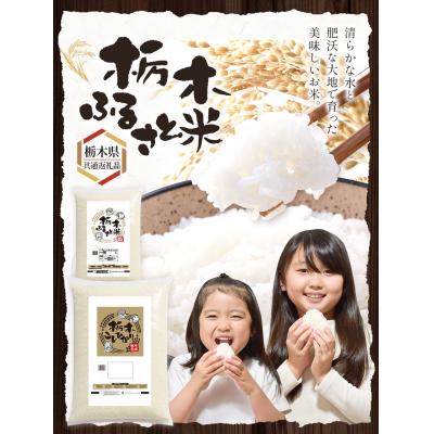 ふるさと納税 野木町 栃木県産コシヒカリ白米10kg 6ヶ月定期便《お申込み翌月から出荷》