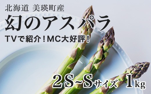 
                  【令和9年産先行予約】幻のアスパラ 2S～Sサイズ 1kg ラスノーブル 令和9年産 北海道 美瑛町 本山農場 グリーンアスパラ | グリーン アスパラガス アスパラ あすぱら あすぱらがす 採れたて ギフト 贈答 新鮮 旬 産地直送 野菜[010-222]
                