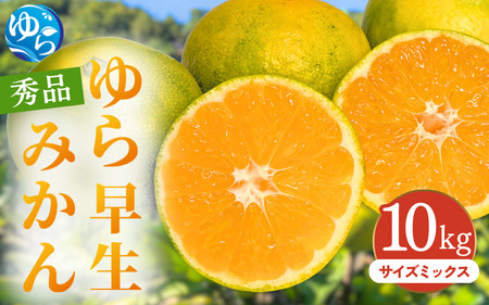 ゆら早生みかん 秀品 サイズミックス 10kg 贈答用 ※2026年10月上旬～11月中旬頃に順次発送予定 / ゆら早生 柑橘 極早生 フルーツ 果物 くだもの 食品 人気 おすすめ 送料無料 由良町 【ksmt003-r-mix-10】 