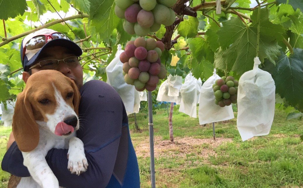 瀬戸ジャイアンツ 優 2kg以上