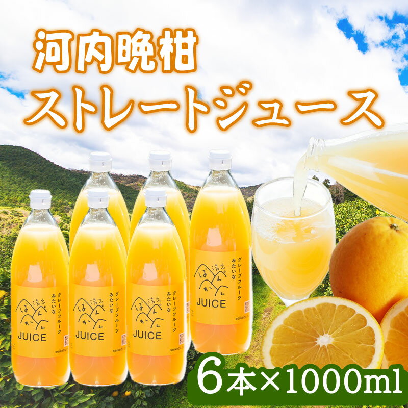 【ふるさと納税】河内晩柑ストレートジュース 6本×1000ml 100% 河内晩柑 愛南ゴールド ジュース 柑橘 蜜柑 かんきつ 冬 秋 旬 正月 愛媛 愛媛県 愛南町 お歳暮 プレゼント ギフト 高級 くだもの ジュース 果物 おやつ お菓子 和菓子 清家ばんかんビレッジ