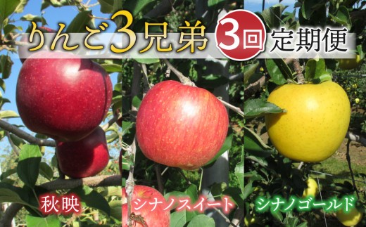 
                  【限定10セット】りんご３兄弟定期便（秋映、シナノスイート、シナノゴールド　各3kg ）｜JA信州うえだ東部地区営農課 長野 東御 ※9月下旬～11月下旬頃に順次発送予定
                