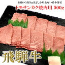 【ふるさと納税】菊の井飛騨牛 トモサンカク焼肉　 500g（4～5人前）飛騨牛 下呂温泉 おすすめ 牛肉 肉 和牛 赤身 人気 ブランド牛 肉ギフト 国産　贈答品 トモサンカク ギフト 焼肉　【冷凍】 25000円 岐阜県 下呂市