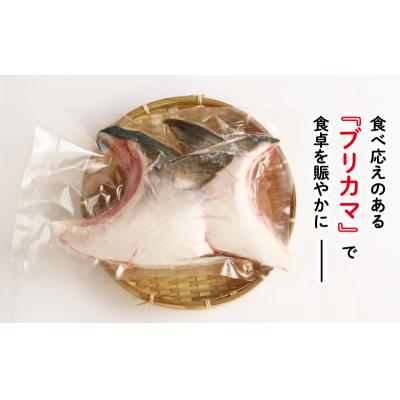 ふるさと納税 愛南町 お試し用 ブリカマ 2切れ × 1パック 人気 国産 養殖 ぶりかま ハマスイ 愛南町 愛媛県 |  | 03
