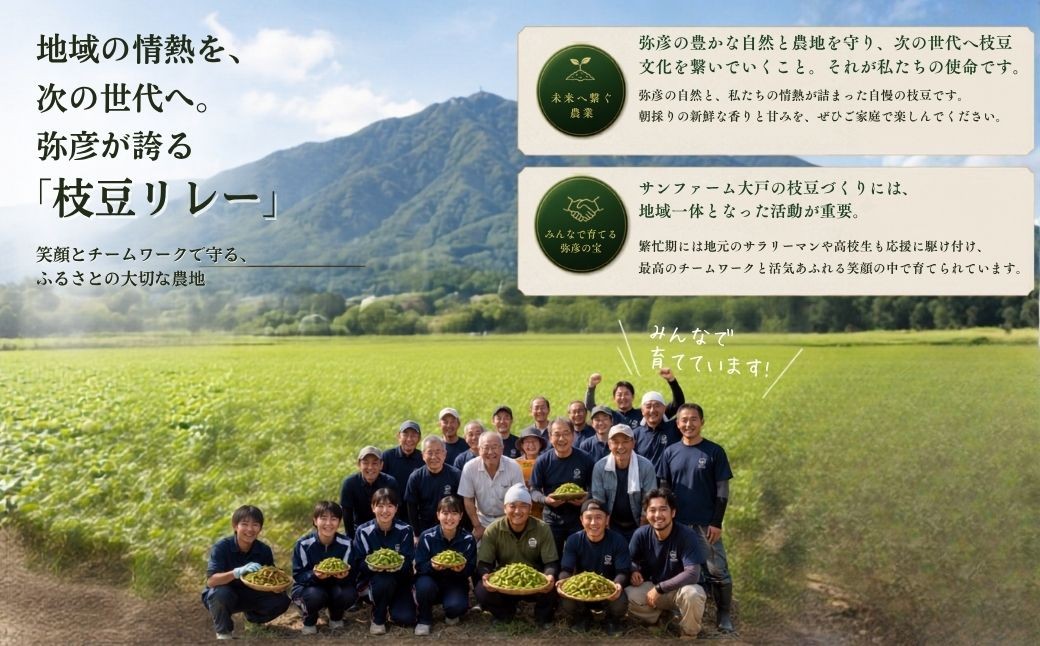 新潟 枝豆 えだまめ 茶豆