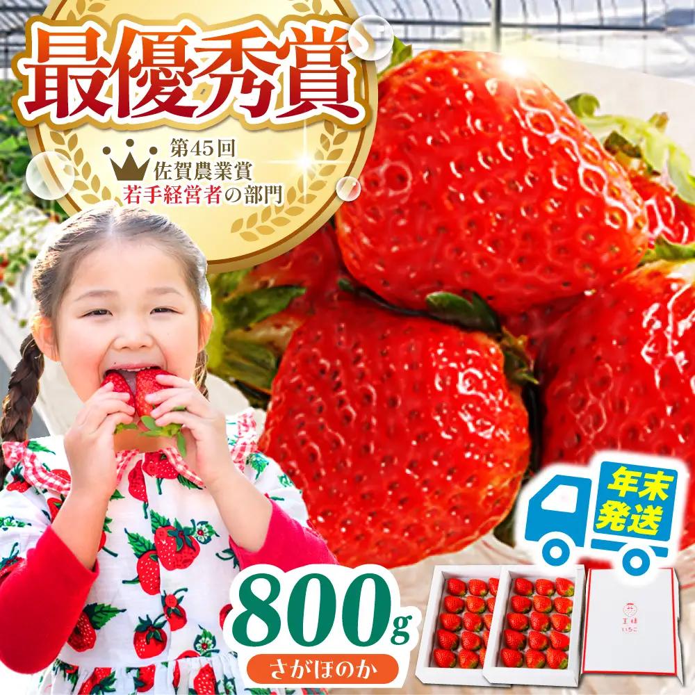 【先行予約】【農薬0への挑戦】【年末発送】王様のいちごさがほのか400g×2箱【むらおか農園】HAF029 いちご 果物 フルーツ