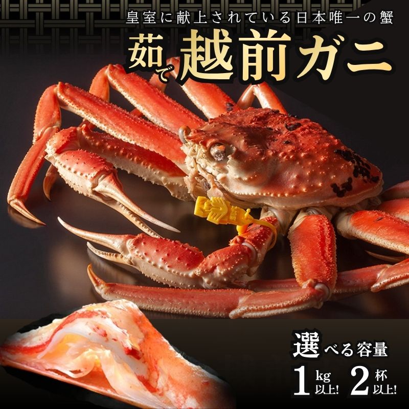 【ふるさと納税】かに 期間限定 茹で 越前がに 1kg以上＆2杯以上 選べる容量 ずわい蟹 ボイルカニ ボイル 魚介類　お届け：2026年11月10日～2027年3月31日（年末年始を除く）