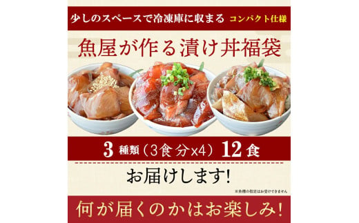 漬け丼 3種×4パック 計12食セット 冷凍 小分け