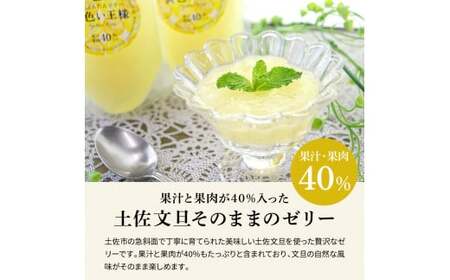 土佐文旦ゼリー『まるごとぶんたん』10本セット ゼリー飲料 ぜりー ブンタン ぶんたん フルーツ 果物 柑橘 みかん お菓子 おかし おやつ デザート スイーツ おいしい【土佐文旦産直協同組合】 [B
