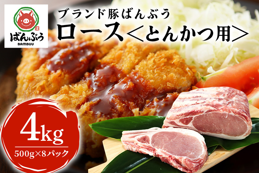 
            ブランド豚「ばんぶぅ」小分け ロース とんかつ用 4kg（500g×8パック） 冷凍便 4キロ  たっぷり 豚肉 豚ロース トンカツ ロースかつ ロースカツ 豚カツ ロースカツ丼 ロースかつ丼 ロースカツカレー カツ煮 かつ煮 ポークソテー ぶた肉 ブタ肉 国産 茨城県産 ギフト プレゼント お祝い ご褒美 ゲン担ぎ 験担ぎ 必勝祈願 合格祈願 42-AP
          