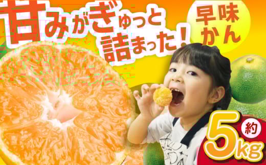 【★先行予約★ 2026年9月下旬より発送】早味かん 約5kg みかん 果物 くだもの みかん ふるーつ フルーツ みかん ミカン 蜜柑 みかん 広川町 / JAふくおか八女農産物直売所どろや [AFAB075]