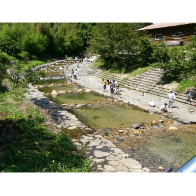 渓流釣り体験【大人グループ入場券】【1672839】