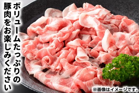 【岩手県産豚肉】小間切れ2.1kgセット(300g×7パック) （AB004-1）