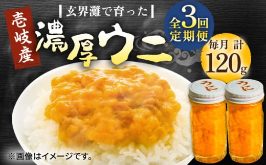 【全3回定期便】壱岐産 濃厚 ウニ 60g ×2本《壱岐市》【合同会社塚元】ムラサキウニ 海産物 海鮮 うに 雲丹 珍味 [JDR034]