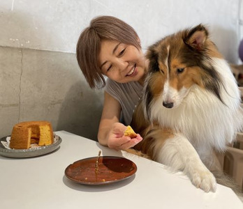 無為自然 米粉シフォンケーキ ブルーベリーパウンドケーキ コーヒー焙煎豆セット グルテンフリー スイーツ 愛犬 手作り ギフト_0054-002-se5