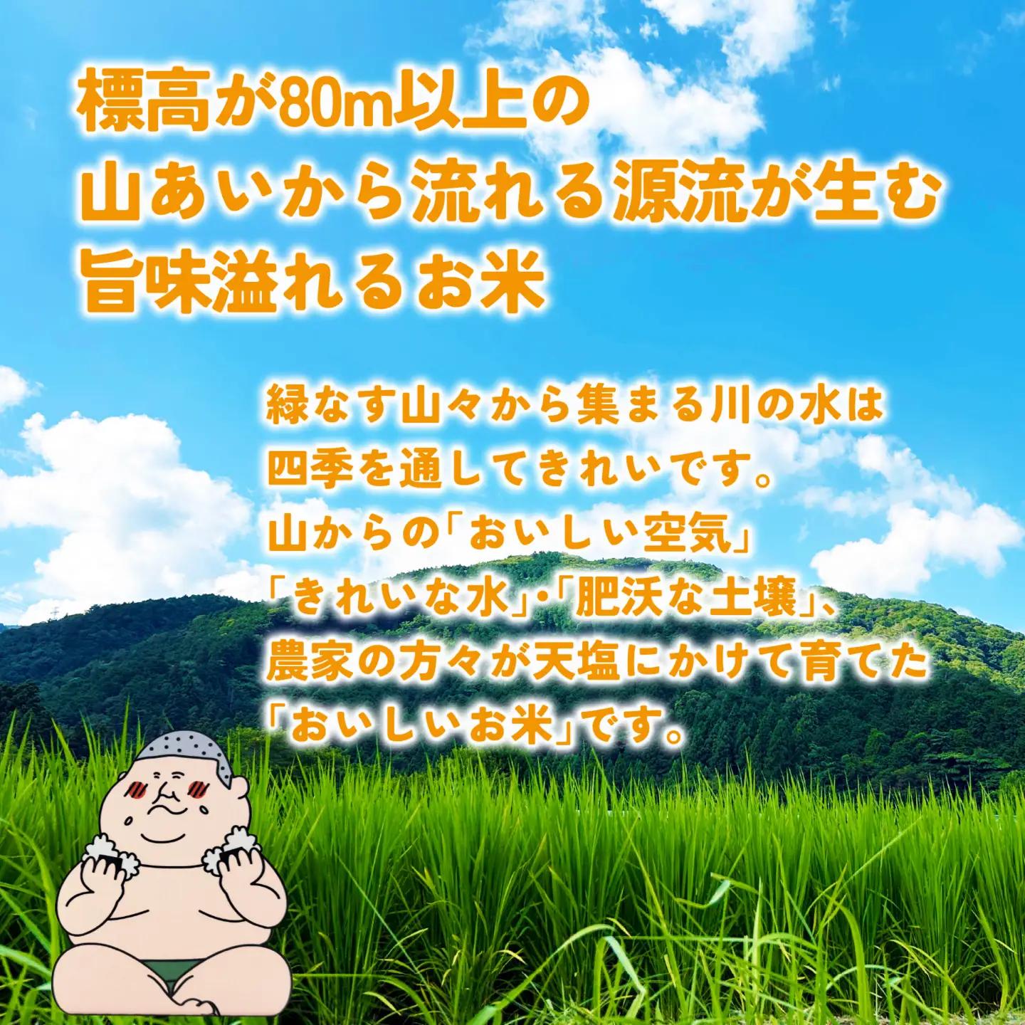 里山のこしひかり ほくの里 5kg × 1袋 |  コシヒカリ 令和7年産 