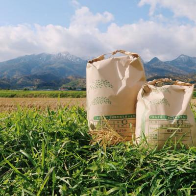 ふるさと納税 富良野市 令和7年産米　富良野産　栽培期間出来るだけ農薬を減らして作った　ゆめぴりか　10kg |  | 01