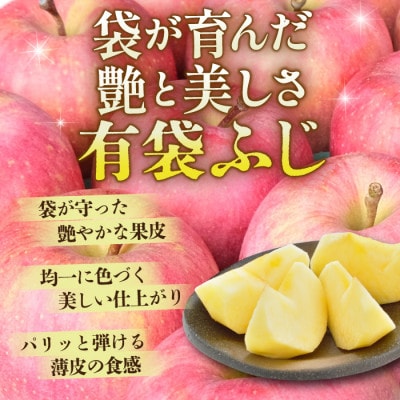 【先行受付】青森県産りんご 平均糖度13度以上! 有袋ふじ 約5kg おもてなし用【配送不可地域：離島・沖縄県】