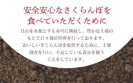 【令和6年産先行予約】さくらんぼ 佐藤錦 バラ詰め M～Lサイズ混合 1kg 庄内さくらんぼ園