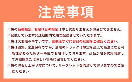 白桃 6玉【配送不可地域あり】桃