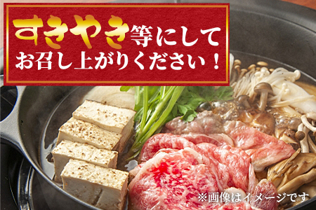 ＜宮崎牛肩ローススライス300gと宮崎県産和牛小間切れ200g 総量500g＞【数量限定】【MI144-my】【ミヤチク】