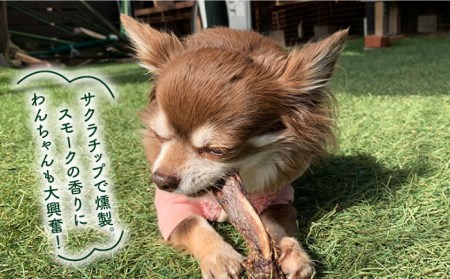 6回定期便　超小型犬向け☆天然いのししのスモーク骨ガム100g わんこin食堂/吉野ヶ里町[FCG063]