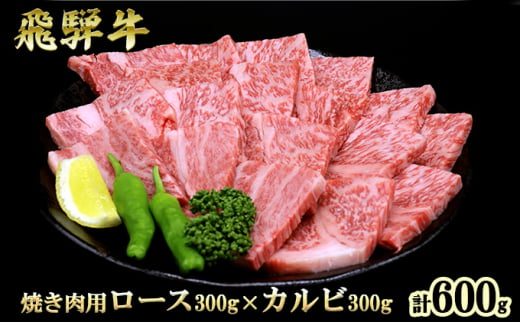 
飛騨牛 焼肉 ロース＆カルビ セット 計600g A5 和牛 牛肉 ブランド牛 お肉 霜降り ロース カルビ 食べ比べ 焼肉用 バーベキュー BBQ キャンプ アウトドア 炭火　よくばり　保存に便利　
