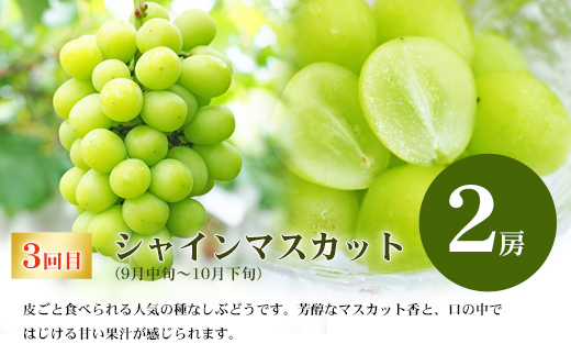 No.2768【先行予約】福島のフルーツ定期便３種【2024年発送】