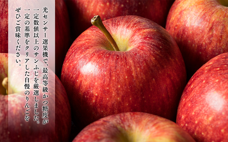 年明け  最高級「特選」糖度選別サンふじ 約3kg 【JA津軽みらい・平川市産・青森りんご・1月・2月】[hi-0001-028]