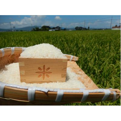 ふるさと納税 小矢部市 【新米】令和8年産 富山県小矢部市産 てんたかく 玄米30kg(30kg×1袋) |  | 01