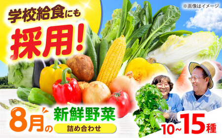 高槻野菜おまかせ詰め合わせセット 8月（10種〜15種）[AOCS014] 野菜セット 野菜セット 野菜セット 野菜セット 野菜セット 野菜セット 野菜セット