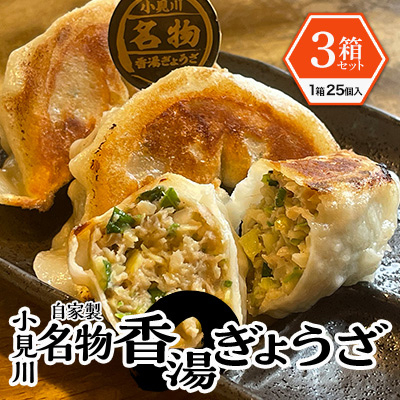 
            ＜自家製＞小見川名物餃子　25個入×3箱【1377113】
          