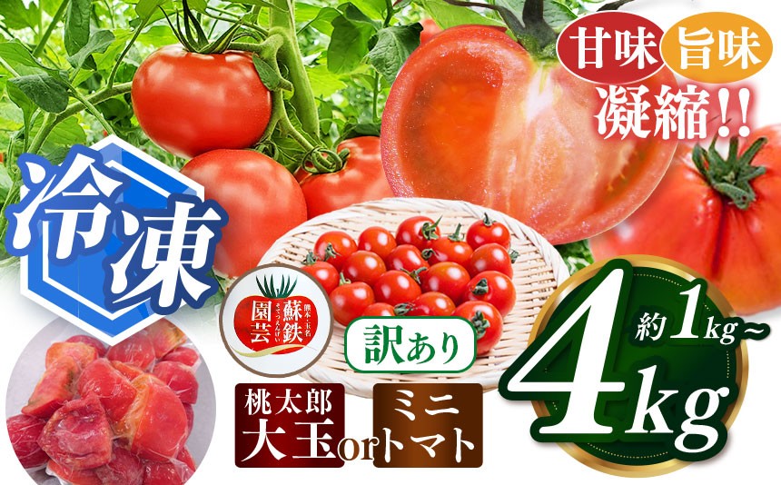 
                  訳あり 選べる 種類 内容量 冷凍 桃太郎トマト 1kg 2kg 3kg 4kg ミニトマト 1kg 2kg | 桃太郎 桃太郎トマト ミニトマト 訳あり 冷凍 旬 熊本県 玉名市
                