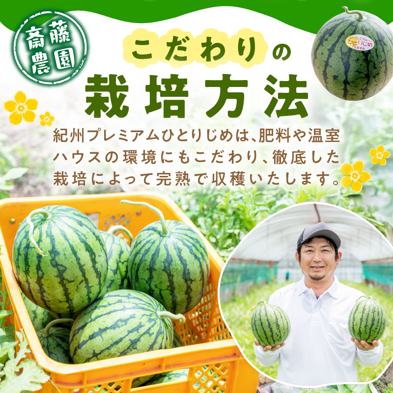 【0252-2】紀州プレミアムひとりじめ（小玉スイカ） 4玉7kg程度≪先行予約2026年6月初旬以降発送分≫