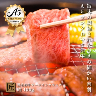 
おやま和牛 A5 極 サーロイン 焼肉用　約400g【1096929】
