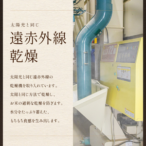 【9ヵ月定期便】北海道南るもい産【ななつぼし】(玄米)5kg R011-033
