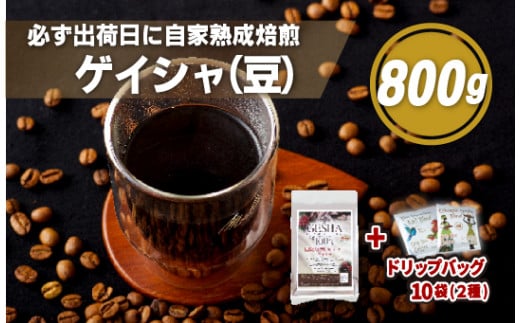 E193d  必ず出荷日に自家熟成焙煎ゲイシャ豆(800g)＋ドリップバッグ10パック