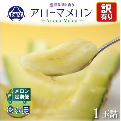 【ふるさと納税】【毎月定期便】【訳あり】アローマメロン 1玉　全8回【配送不可地域：離島・北海道・沖縄県】【4072000】
